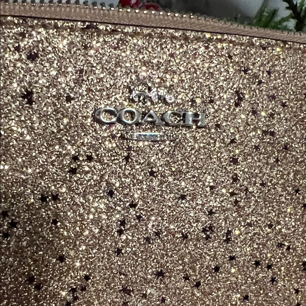 Coach Sparkling Gold Wristlet